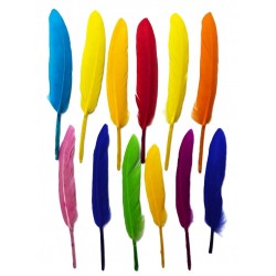 Small colored feathers, 12 pieces per card